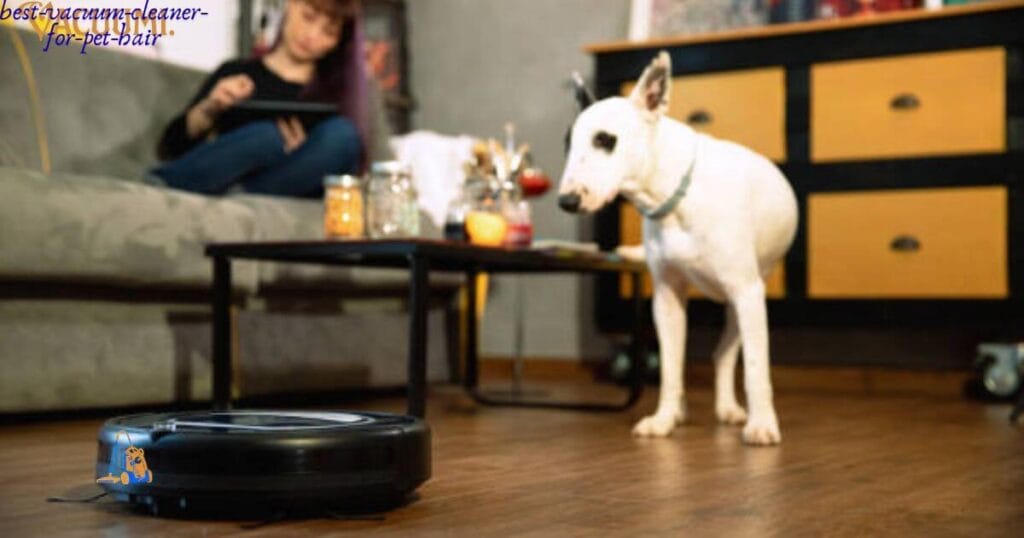 Best Vacuum Cleaner for Pet Hair: Which 1 Is Right for Your Home? 1 Best Vacuum Cleaner for Pet Hair