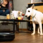 best vacuums 22 Best Vacuum Cleaner for Pet Hair