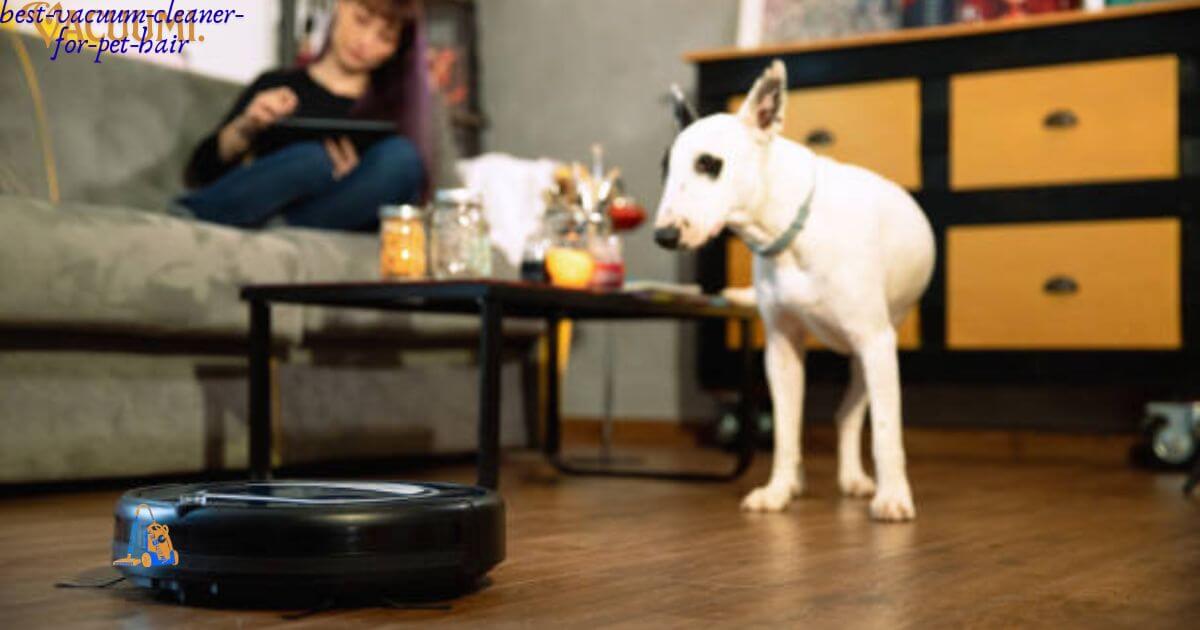 Best Vacuum Cleaner for Pet Hair: Which 1 Is Right for Your Home? 1 Best Vacuum Cleaner for Pet Hair