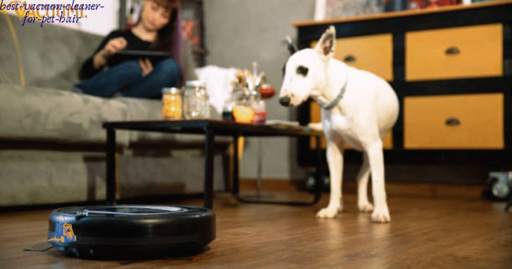 best-vacuum-cleaner-for-pet-hair image 2 https://vacuumi.com/best-vacuum-cleaner-for-pet-hair/